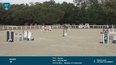 Miniature vidéo