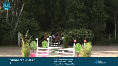 Miniature vidéo