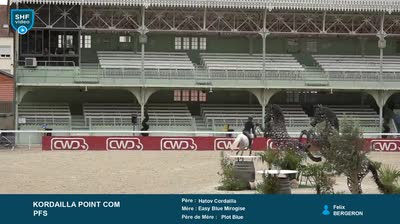 Miniature vidéo