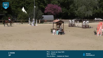 Miniature vidéo