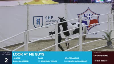 EQUITA VENTES 2024 - 2024-11-01