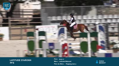 NIMES CENTAURE ELEVAGE - 2026-06-17