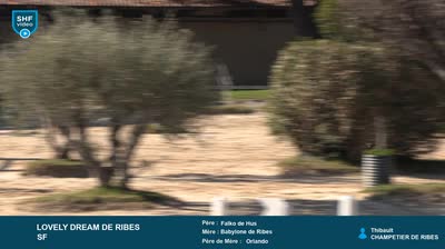 Miniature vidéo