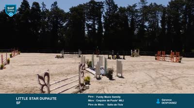 Miniature vidéo