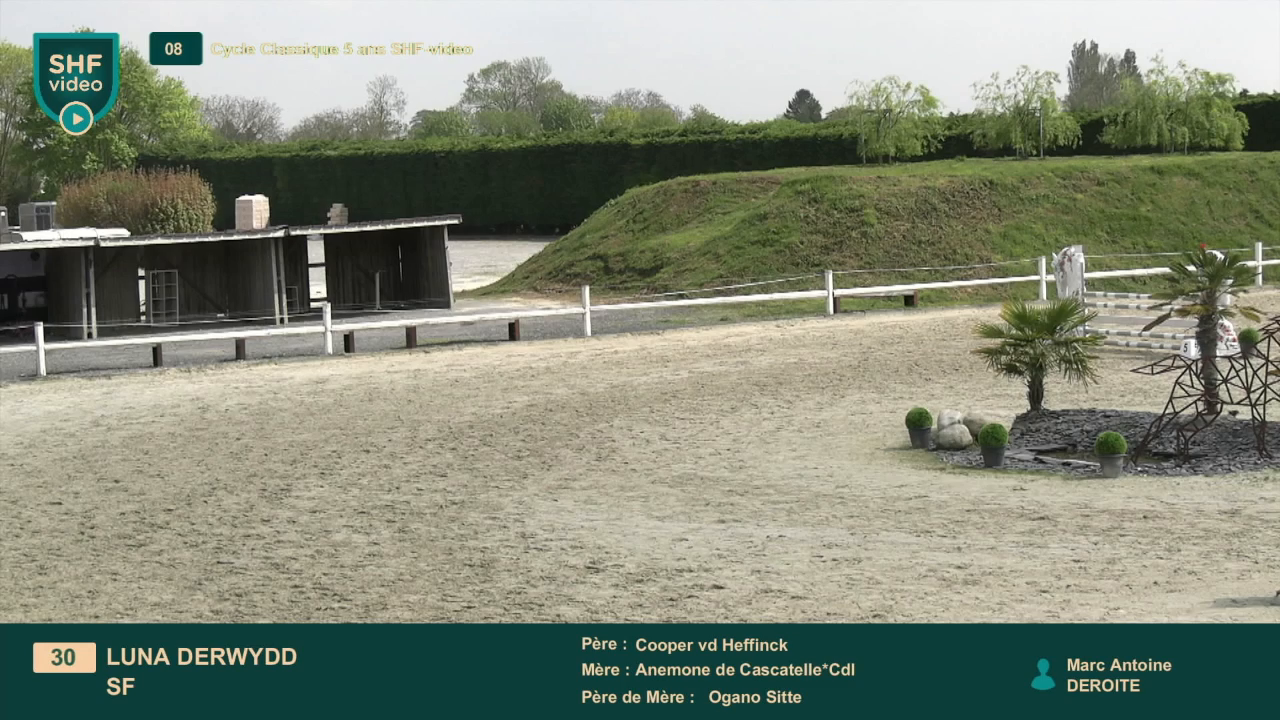 Miniature vidéo