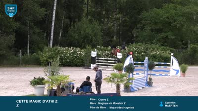 Miniature vidéo