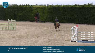 Miniature vidéo