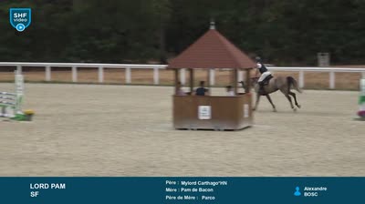 Miniature vidéo