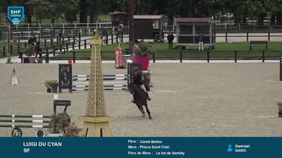 Miniature vidéo