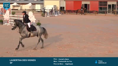 Miniature vidéo