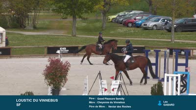 NIORT SHF VIDEO - 2026-03-31