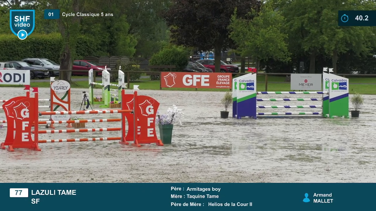 Miniature vidéo