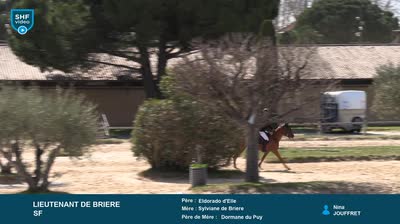 Miniature vidéo