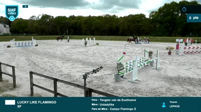 Miniature vidéo