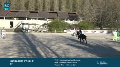 SAINT YRIEIX LA PERCHE SHF VIDEO - 2025-04-08
