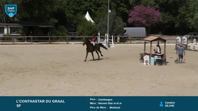 Miniature vidéo