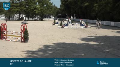 Miniature vidéo