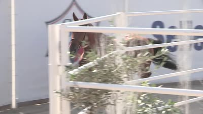 Miniature vidéo