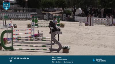NIMES CENTAURE ELEVAGE - 2026-06-16