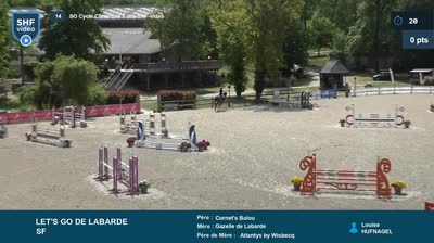 Miniature vidéo
