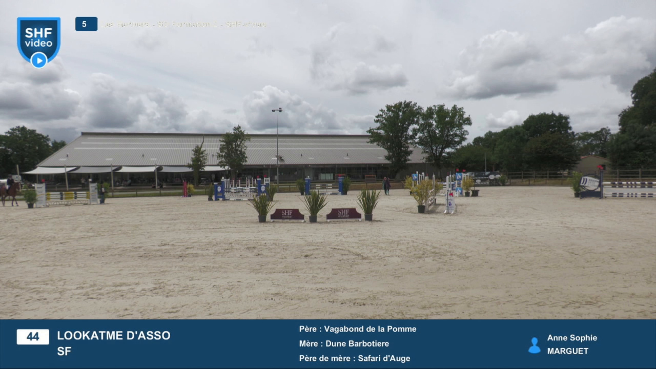 Miniature vidéo