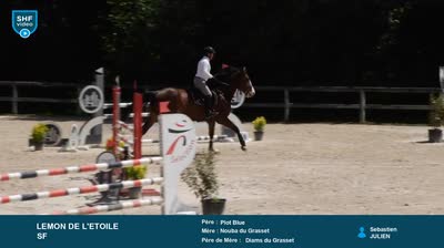 ST REMY DE PROVENCE - 2026-05-11