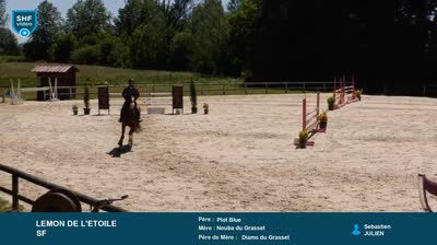 ST REMY DE PROVENCE - 2026-05-12