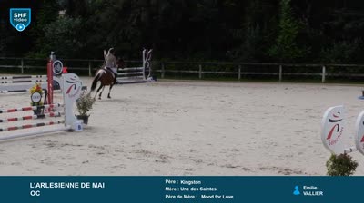 Miniature vidéo