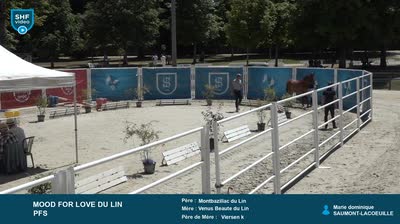 Grand Régional Qualificatif  2 et 3 ans  - 2025-07-16