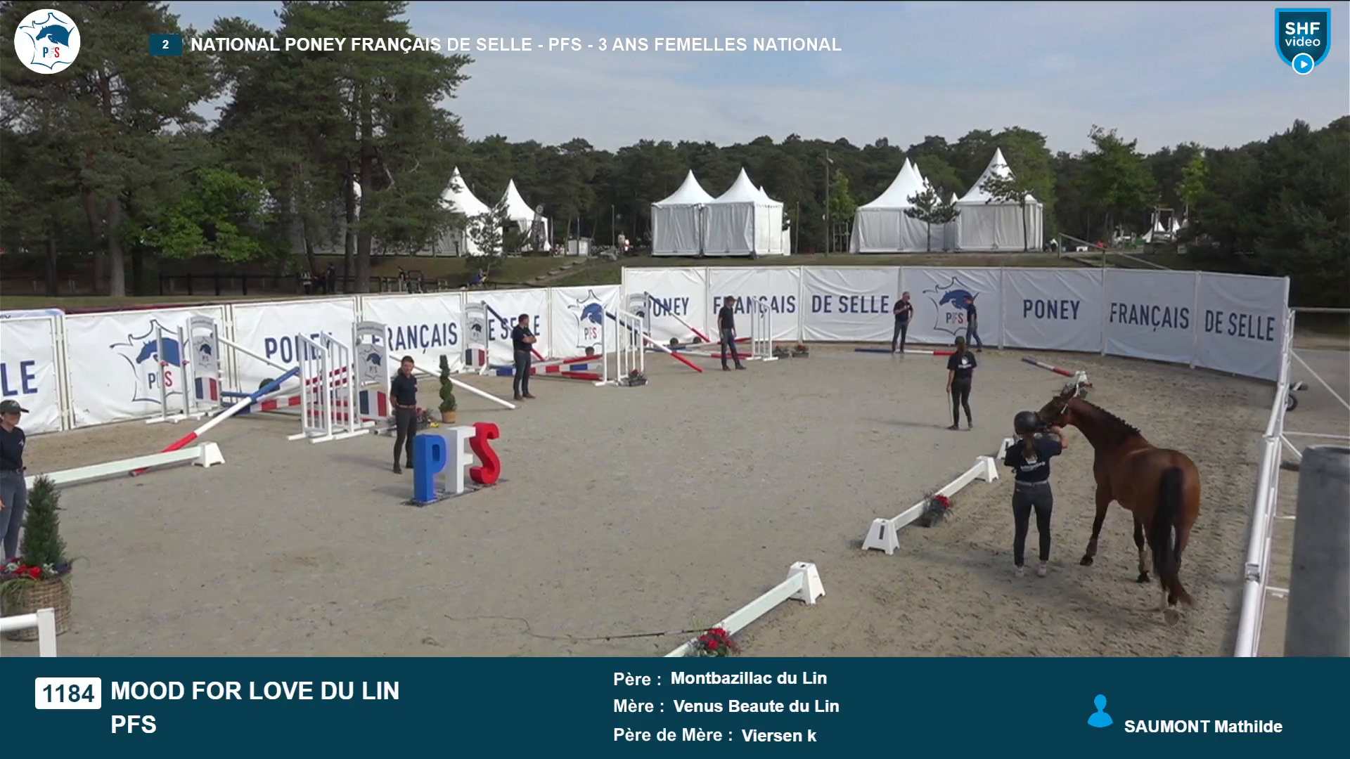 National Poney Français de Selle - 2025-08-21