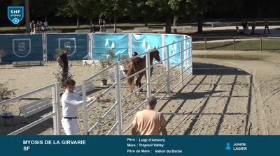 Grand R&eacute;gional Qualificatif  2 et 3 ans  - 2025-07-16