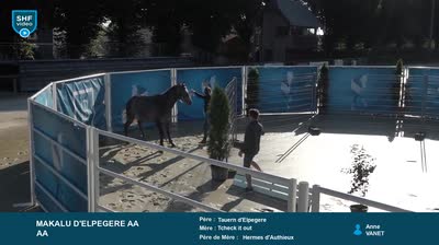 Miniature vidéo
