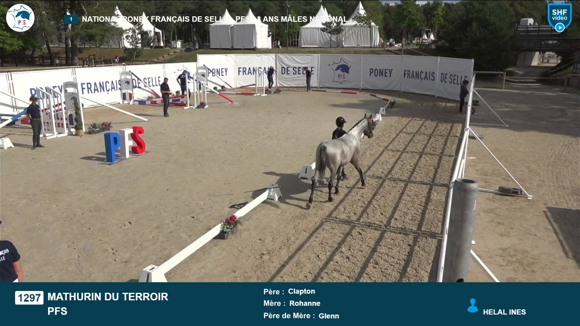 National Poney Français de Selle - 2025-08-21