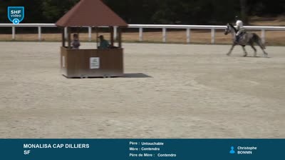 Miniature vidéo