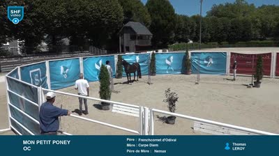 Grand Régional Qualificatif  2 et 3 ans  - 2025-07-16