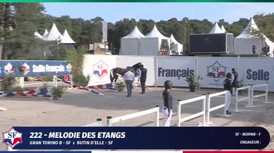 EVENEMENT FEMELLES SELLE FRANÇAIS 2 &amp; 3  - 2024-08-26