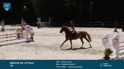 ST REMY DE PROVENCE - 2026-05-11