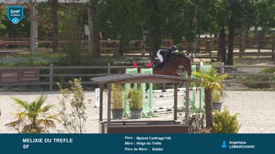 Miniature vidéo