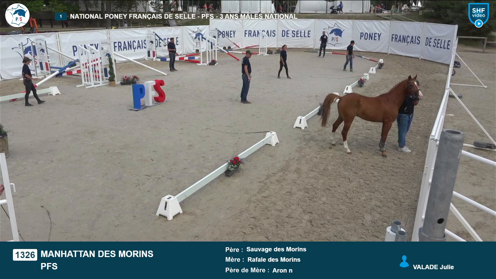 National Poney Français de Selle - 2025-08-21