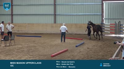 REGIONAL QUALIFICATIF POITOU-CHARENTES 2 - 2025-07-29