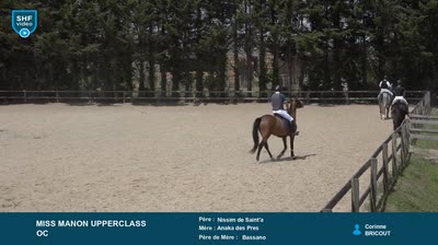 REGIONAL QUALIFICATIF POITOU-CHARENTES 2 - 2025-07-29