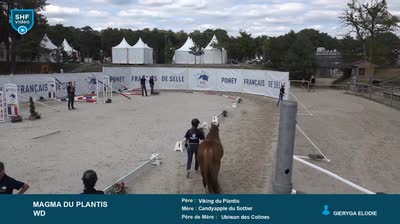 Championnat de France des 3 ans Poneys d - 2025-08-23