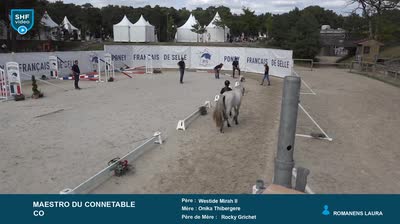 Championnat de France des 3 ans Poneys d - 2025-08-23