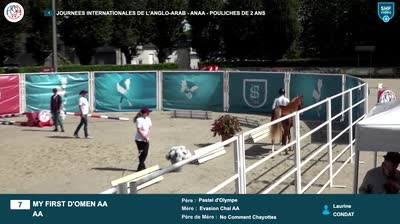 Miniature vidéo
