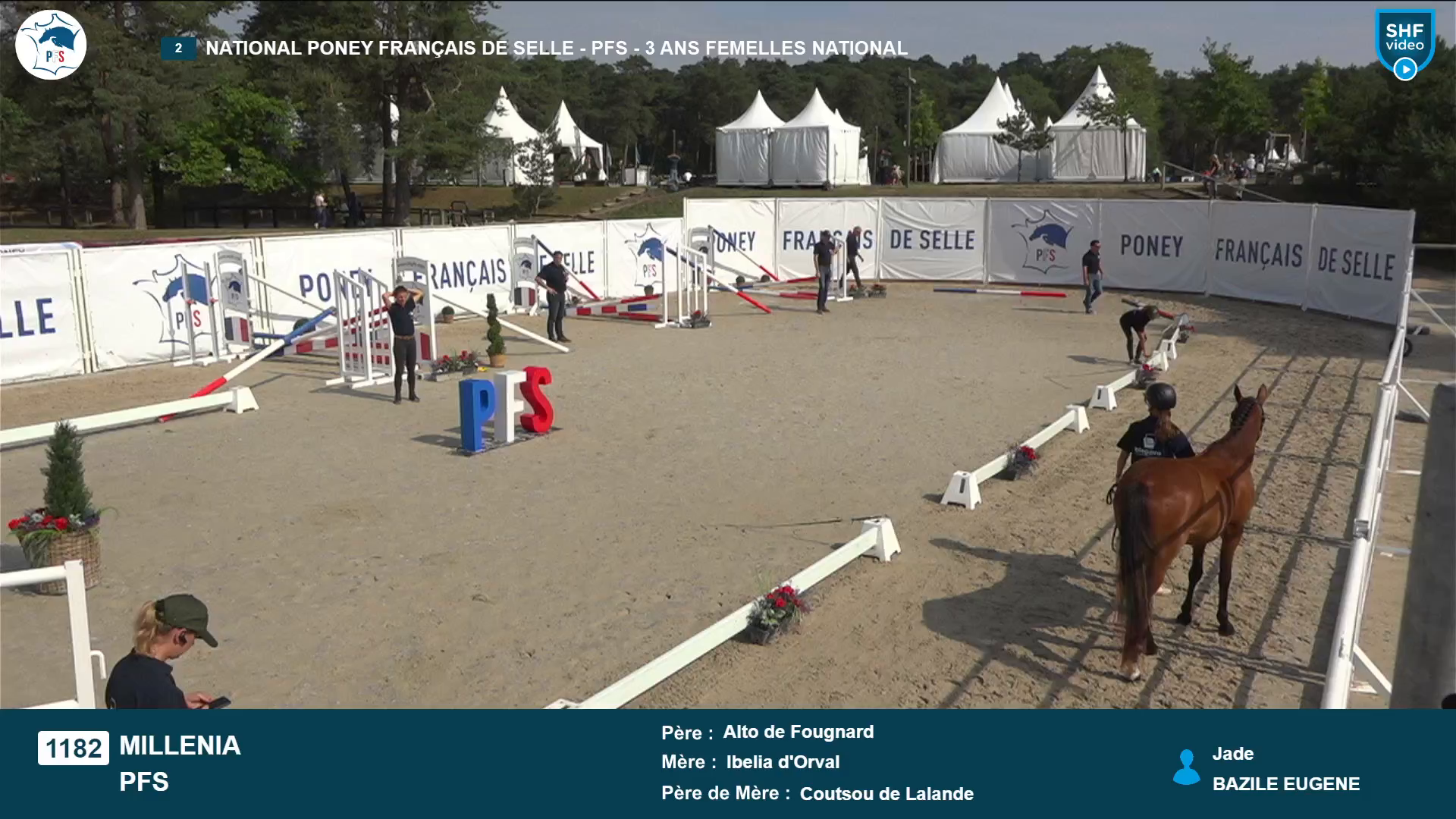 National Poney Français de Selle - 2025-08-21