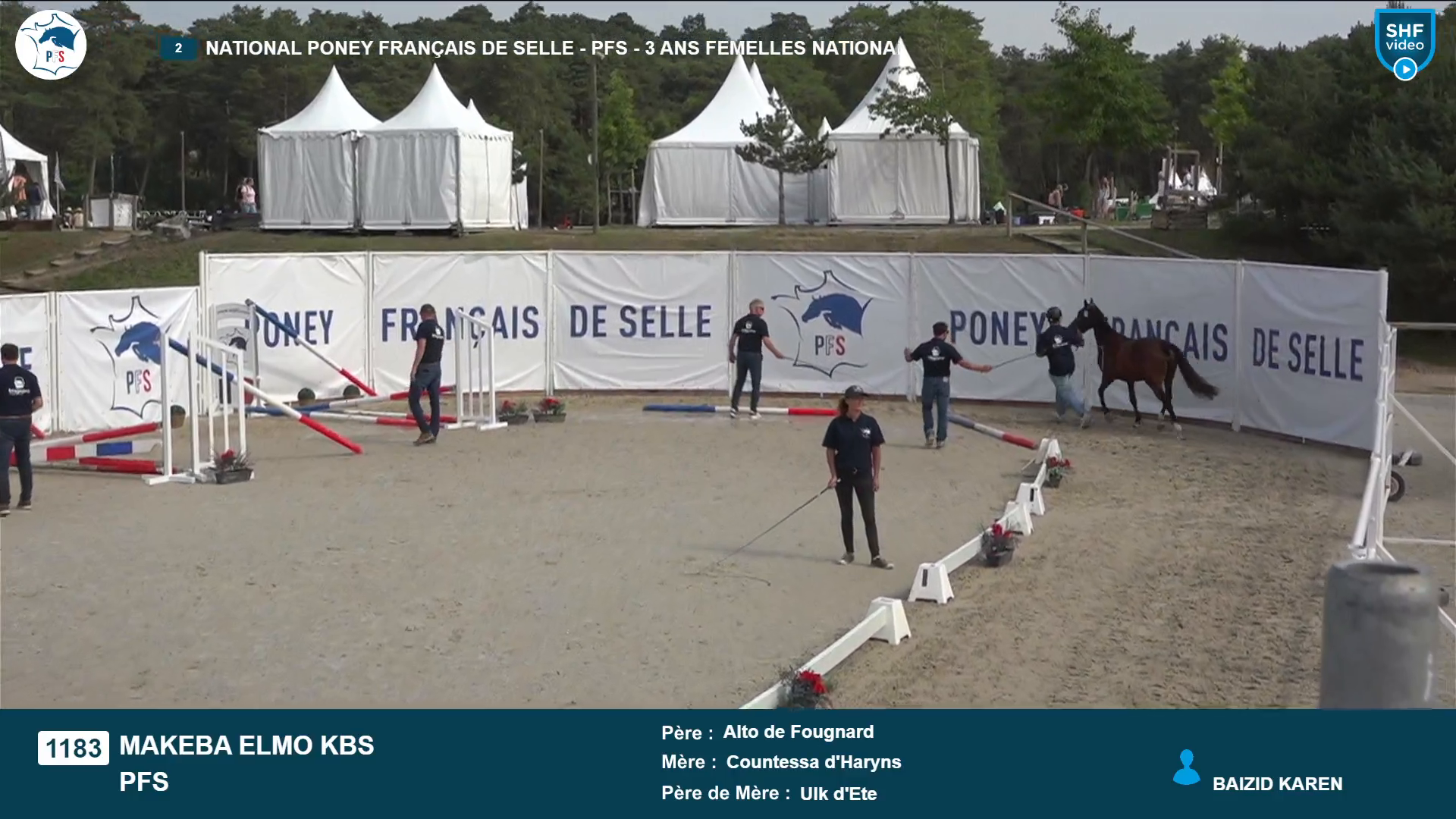 National Poney Fran&ccedil;ais de Selle - 2025-08-21