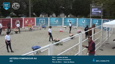 Miniature vidéo