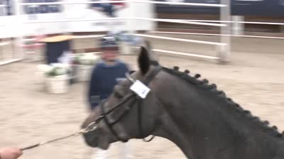 QUALIFICATIVE &Eacute;TALONS SELLE FRAN&Ccedil;AIS 2 E - 2024-11-19