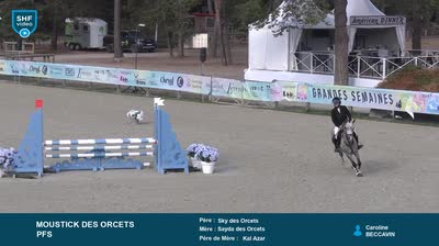Miniature vidéo