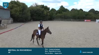 REGIONAL QUALIFICATIF POITOU-CHARENTES 2 - 2025-07-29